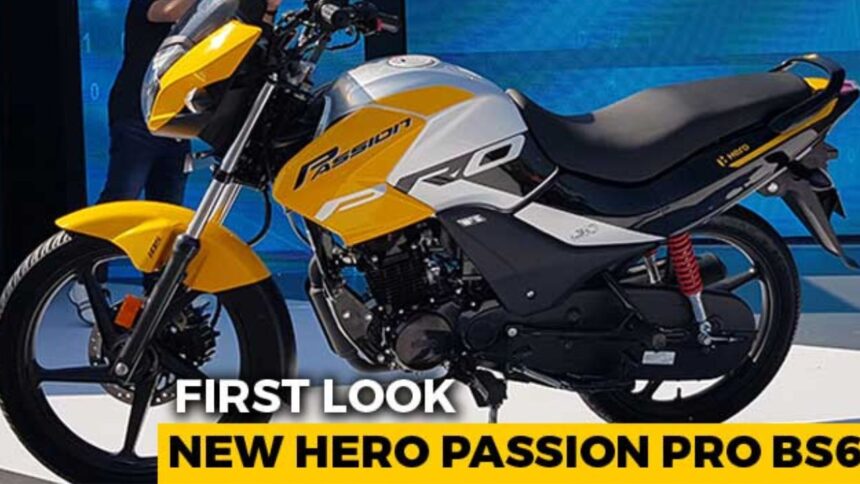 Hero Passion Pro